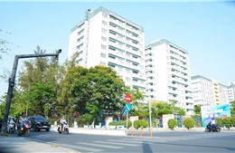 Sinh viên TP Hồ Chí Minh dần chuyển sang giao thông xanh