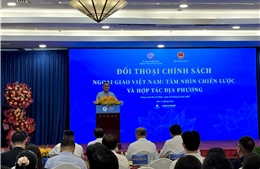 Khi ngoại giao địa phương trở thành trụ cột hội nhập
