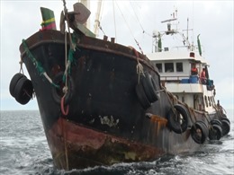 Cảnh sát biển bắt giữ 3 tàu vận chuyển trái phép  250.000 lít dầu DO