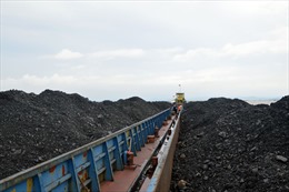 Cảnh sát biển tạm giữ 2.000 tấn bã xít thải than không rõ nguồn gốc