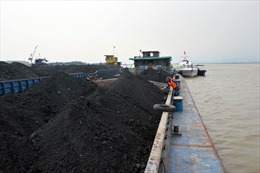 Cảnh sát biển tạm giữ tàu hàng chở 1.000 tấn than không rõ nguồn gốc