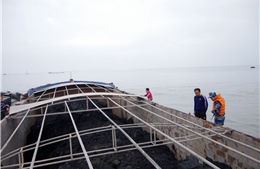 Cảnh sát biển tạm giữ 800 tấn than không rõ nguồn gốc