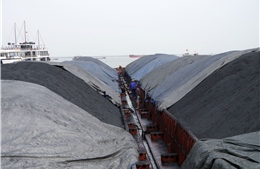 Cảnh sát biển tạm giữ 6.000 tấn than không rõ nguồn gốc