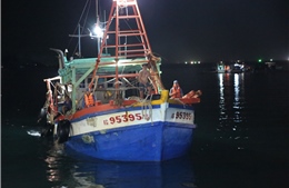 Cảnh sát biển bắt giữ 2 tàu đang sang mạn dầu trái phép trên biển