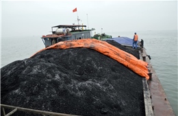 Cảnh sát biển tạm giữ 850 tấn than không rõ nguồn gốc 