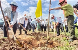 Thủ tướng gửi thư khen tỉnh Bến Tre hưởng ứng sáng kiến trồng cây xanh