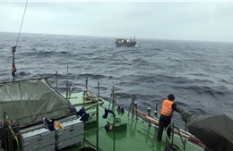 BTL Vùng Cảnh sát biển 1 cứu kéo thành công tàu cá Nghệ An gặp nạn trên biển