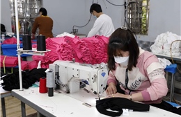 Thích ứng linh hoạt, thúc đẩy phát triển kinh tế xã hội 