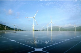 Phát triển Ninh Thuận trở thành tỉnh có nền kinh tế xanh, sạch, năng lượng tái tạo