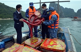 Lực lượng Cảnh sát biển bắt giữ vụ vận chuyển 300kg pháo nổ trên biển 