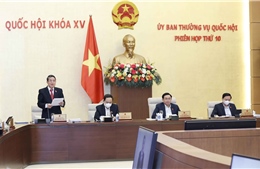Thu hút nhà đầu tư chiến lược vào Khu kinh tế Vân Phong là phù hợp với Nghị quyết 09
