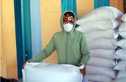 Xuất cấp 243,15 tấn gạo cho tỉnh Bắc Kạn và Kon Tum dịp Tết Nguyên đán