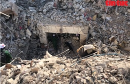 Hình ảnh chó nghiệp vụ của Bộ đội Biên phòng tham gia cứu hộ ở Thổ Nhĩ Kỳ