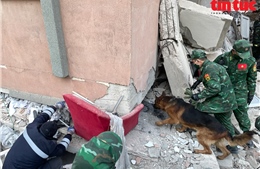 Lực lượng cứu hộ Quân đội tìm thấy 3 vị trí nạn nhân ở Thổ Nhĩ Kỳ