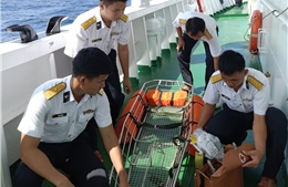 Hải quân điều động 3 tàu tìm kiếm cứu nạn ngư dân gặp nạn trên biển Trường Sa