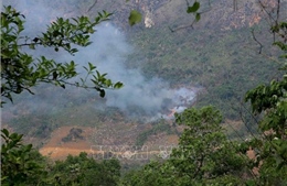 Công điện của Thủ tướng về tăng cường các biện pháp cấp bách phòng cháy, chữa cháy rừng