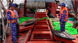 Cảnh sát biển bắt giữ tàu vận chuyển khoảng 200.000 lít dầu DO trái phép