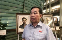 Đại biểu Nguyễn Quang Huân: Việc tăng giá điện cần có lộ trình