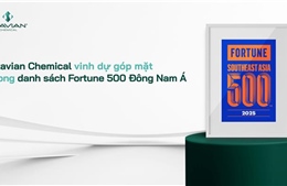 Stavian Hóa chất được Fortune vinh danh Top 219 doanh nghiệp lớn nhất Đông Nam Á năm 2025
