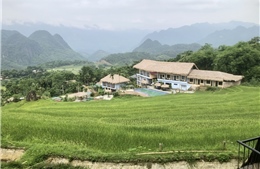 Khám phá mùa vàng trên đỉnh Pù Luông