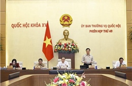 Sẽ bãi bỏ nội dung về quy hoạch vùng thông báo bay