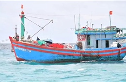 Đảo Sơn Ca hỗ trợ tàu cá ngư dân Gia Lai gặp sự cố trên biển