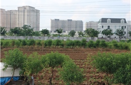 Chưa sửa đổi Luật Đất đai 2024 trong kỳ họp thứ 10, Quốc hội khóa XV