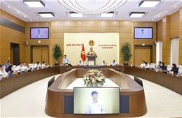 Rà soát quy định trong dự án Luật sửa đổi, bổ sung một số điều Luật Kinh doanh bảo hiểm