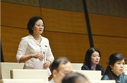 Chính quyền địa phương 2 cấp đã chuyển trạng thái từ thụ động sang chủ động quản trị 