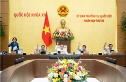Bộ trưởng Phạm Thị Thanh Trà: Bộ Nội vụ tập trung hoàn thiện đề án về phân loại đơn vị hành chính
