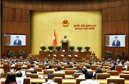 Ngày 3/11, Quốc hội tiếp tục thảo luận về các dự án luật