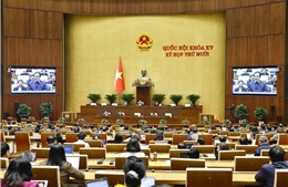 Ngày 20/11, Quốc hội thảo luận Dự án Luật sửa đổi, bổ sung một số điều của Luật Giáo dục