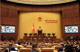 Nhiều dự án luật được đại biểu Quốc hội thảo luận sôi nổi