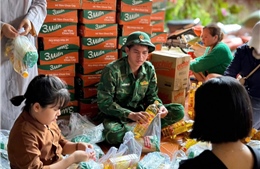 Bộ đội Biên phòng hỗ trợ giúp nhân dân khắc phục hậu quả sau bão số 13