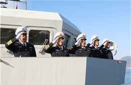 Tàu 015 - Trần Hưng Đạo cập cảng Kure, bắt đầu thăm xã giao Nhật Bản