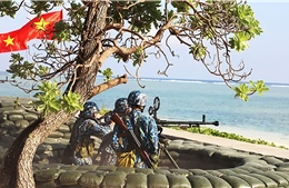 Lữ đoàn 146 Hải quân nâng cao chất lượng tổng hợp, bảo vệ vững chắc biển đảo Tổ quốc