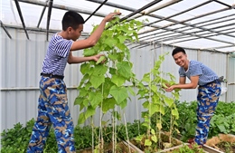 Những ‘cột mốc sống’ canh giữ biển trời Tổ quốc: Bài 1- Bản lĩnh và tinh thần thép của những chiến sĩ nhà giàn