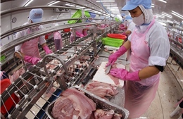 Tiến tới Đại hội XIV của Đảng: Kinh tế Việt Nam vững bước tiến vào giai đoạn mới