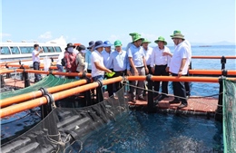 Tiến tới Đại hội XIV của Đảng: Những Nghị quyết mang tính đột phá chiến lược