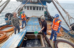 Bắt giữ tàu cá chở khoảng 100.000 lít dầu DO trái phép trên biển