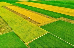 Quyết tâm thực hiện tốt công tác dân tộc và tôn giáo trong giai đoạn mới