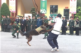 Đoàn đại biểu cấp cao Bộ Quốc phòng hai nước tham quan Biên phòng sử dụng chó nghiệp vụ đánh bắt tội phạm ma túy