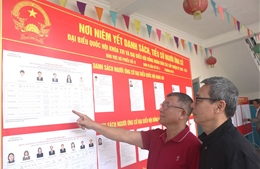 Cuộc bầu cử đại biểu Quốc hội khóa XVI thành công tốt đẹp 