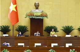 Ngày 9/4, Quốc hội thảo luận 4 dự án Luật và kết quả thực hiện kế hoạch phát triển KTXH