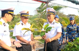 Vùng 4 Hải quân ươm, chiết, nhân giống 30.000 cây trồng thực hiện ‘Xanh hóa Trường Sa’