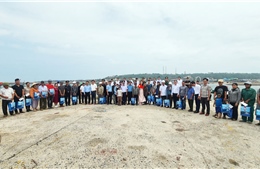 Các địa phương khảo sát, nắm tình hình vùng biển, đảo ven bờ phía Bắc năm 2026
