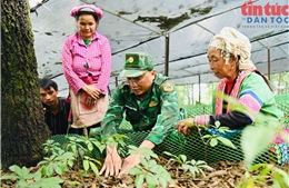 Bộ đội Biên phòng: Cầu nối đưa chính sách dân tộc vào cuộc sống nơi biên cương