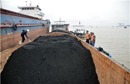 Cảnh sát biển tạm giữ 700 tấn than không rõ nguồn gốc  