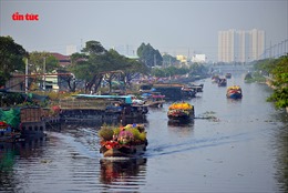 Nhộn nhịp chợ hoa Tết ‘trên bến dưới thuyền’ đầy sắc màu ở TP Hồ Chí Minh