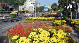 Thành phố Hồ Chí Minh &#39;ngập&#39; trong sắc hoa ngày 29 Tết